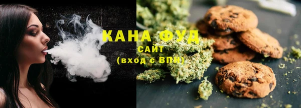 индика Лиски