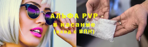 индика Лиски