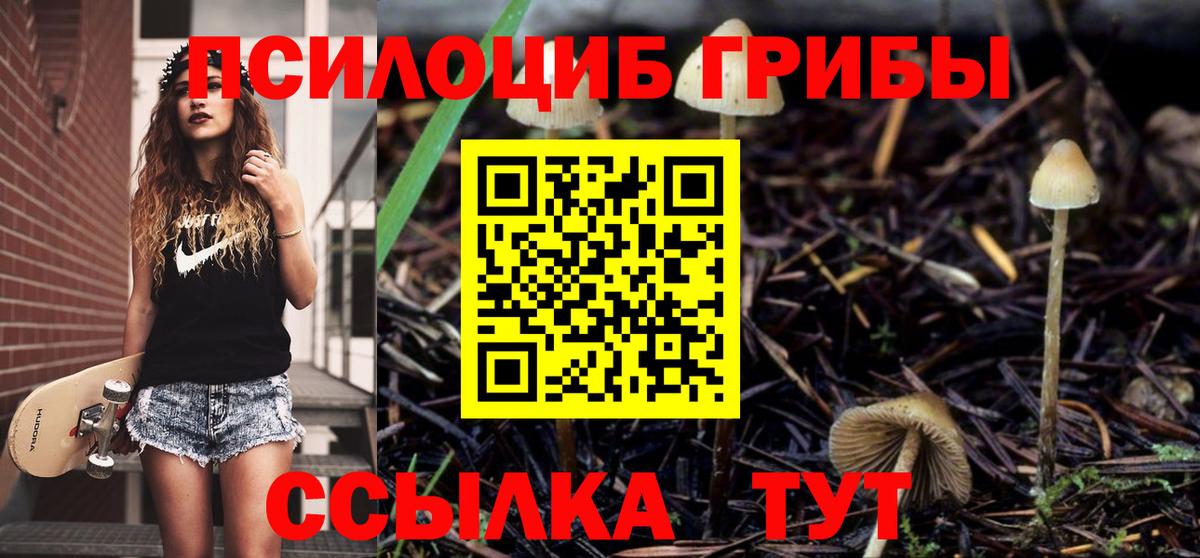 Галлюциногенные грибы прущие грибы  Галлюциногенные грибы ЛСД  Уварово  Вход с VPN 